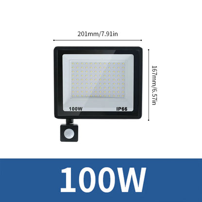 LED Flood Light PIR Motion Sensor 10W 20W 30W 50W 100W 150W 200W 300W AC220V IP66 Waterproof Spotlight Street Floodlight Outdoor - GlowMart