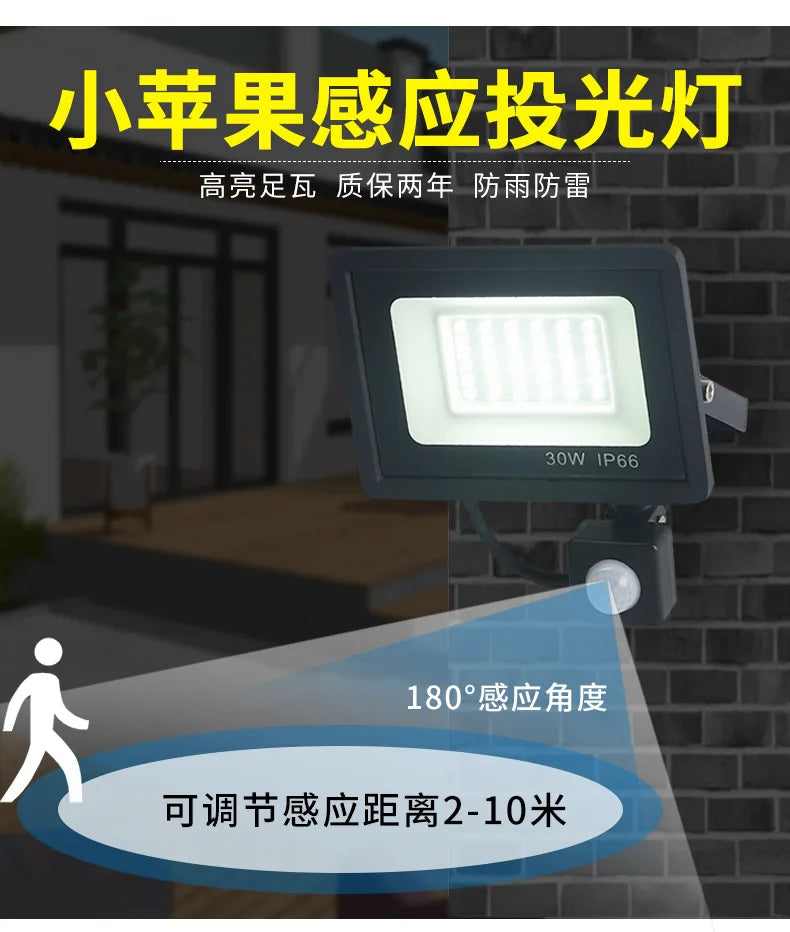 LED Floodlights 100W 50W 30W 20W 10W PIR Motion Sensor IP66 Waterproof LED 220V Hanging Exterior Outdoor Wall Lamp Spotlight - GlowMart