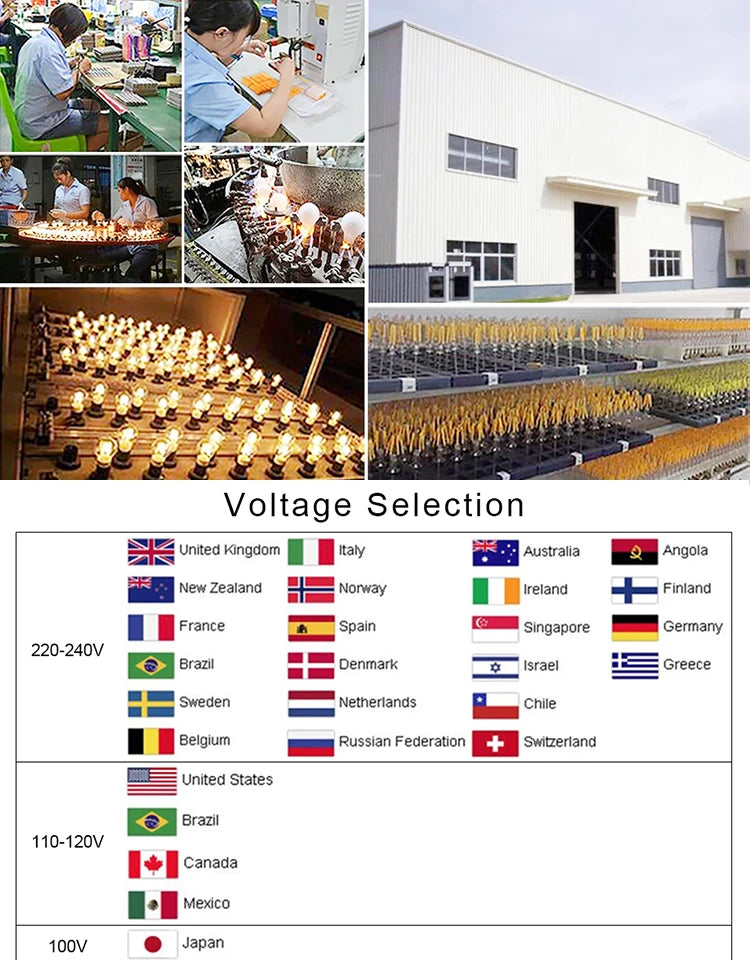 LED Outdoor String Light 12V Output Patio Lights with ST38 Vintage Plastic Bulb Waterproof Hanging String Lights for Backyard