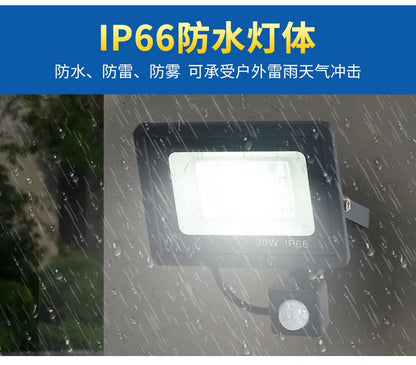 LED Floodlights 100W 50W 30W 20W 10W PIR Motion Sensor IP66 Waterproof LED 220V Hanging Exterior Outdoor Wall Lamp Spotlight - GlowMart