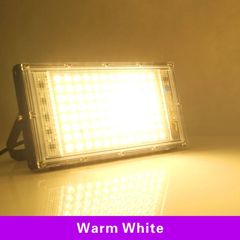 50W 100W Led Flood Light AC 220V 230V 240V Outdoor Floodlight Spotlight IP65 Waterproof LED Street Lamp Landscape Lighting - GlowMart