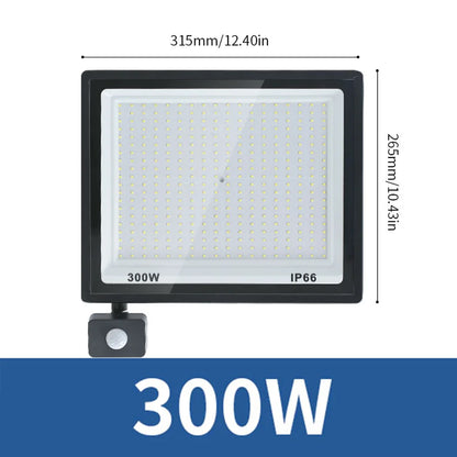 LED Flood Light PIR Motion Sensor 10W 20W 30W 50W 100W 150W 200W 300W AC220V IP66 Waterproof Spotlight Street Floodlight Outdoor - GlowMart