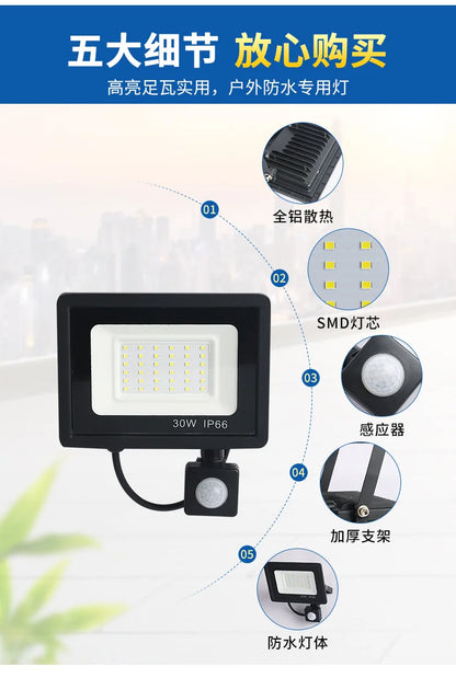 LED Floodlights 100W 50W 30W 20W 10W PIR Motion Sensor IP66 Waterproof LED 220V Hanging Exterior Outdoor Wall Lamp Spotlight - GlowMart