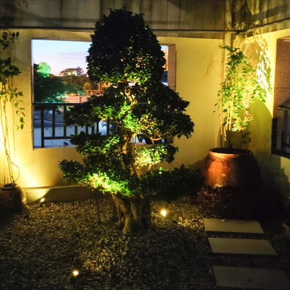 Outdoor LED Lawn Light 20W/30W 40W Wall Washer Waterproof Floodlights  LED Spot Lamp Outdoor Landscape Lighting 100-240V DC24V