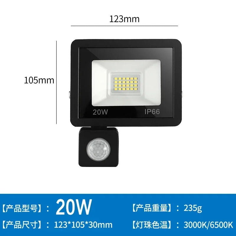 LED Floodlights 100W 50W 30W 20W 10W PIR Motion Sensor IP66 Waterproof LED 220V Hanging Exterior Outdoor Wall Lamp Spotlight - GlowMart