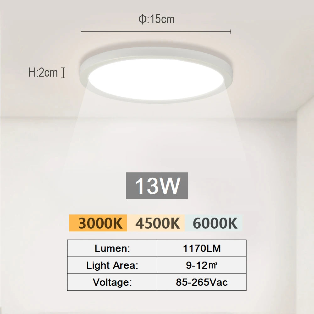 LED Ceiling Light Modern Aisle Ceiling Lamp Indoor Hallway Lighting Small Surface Mounted Fixtures Bedroom Balcony Office Lights