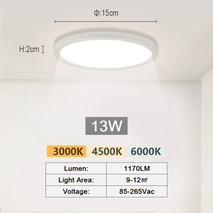 LED Ceiling Light Modern Aisle Ceiling Lamp Indoor Hallway Lighting Small Surface Mounted Fixtures Bedroom Balcony Office Lights